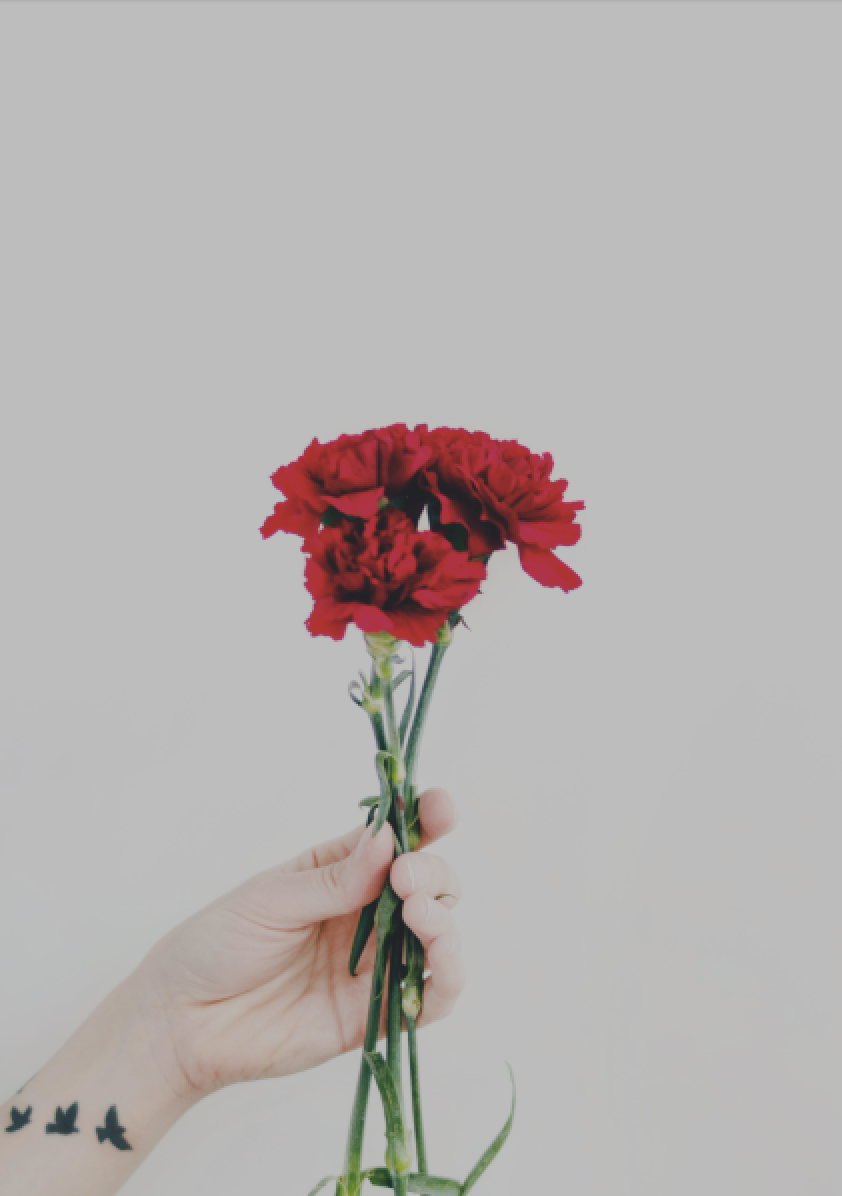 Three red flowers in a bunch, being held by a woman's hand, on a light background. 