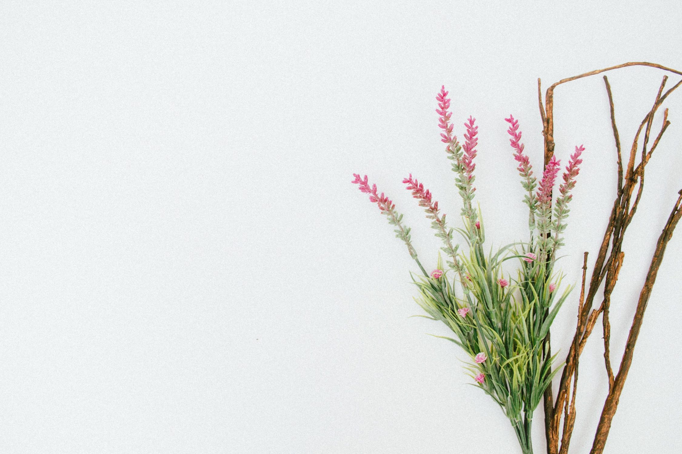 Bouquet of pink flowers, greenery and twigs set to the left on a light green background.  